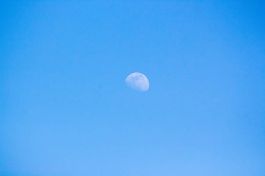 Mavi gökyüzünde gündüz vakti ay.