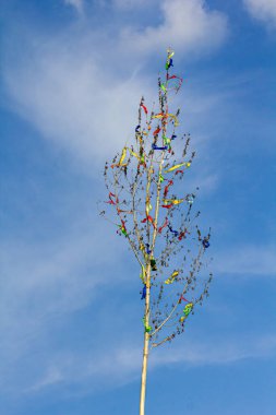 21.05.2023 Slovakya. Sala. Bahar festivalinde kurdelelerle süslenmiş bir ağaç..