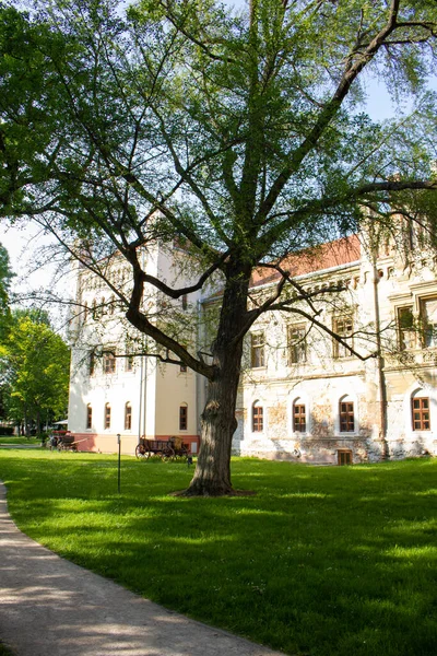 2023斯洛伐克 加兰塔位于城市公园内的新哥特式城堡Esterhazy — 图库照片