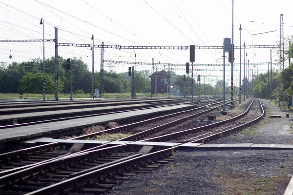 Железнодорожная Трасса Летом Крупным Планом — стоковое фото
