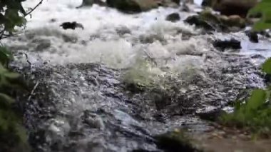 Nehirde kaynayan su akıntısı