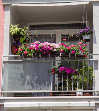 25.06.2023 Sala. Slovakya. Balkon, çok ailelik bir evde çiçeklerle yeşillendi..