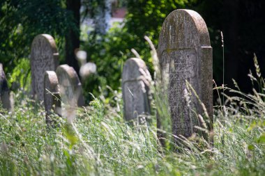 On yedi. 06.2023 Sala. Slovakya. Sala 'daki eski Yahudi mezarlığı.