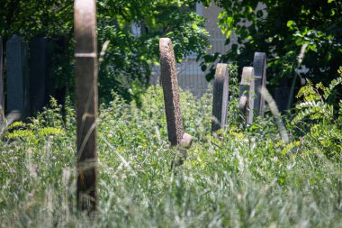 On yedi. 06.2023 Sala. Slovakya. Sala 'daki eski Yahudi mezarlığı.