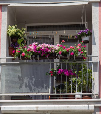 25.06.2023 Sala. Slovakya. Balkon, çok ailelik bir evde çiçeklerle yeşillendi..