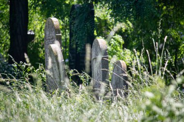 On yedi. 06.2023 Sala. Slovakya. Sala 'daki eski Yahudi mezarlığı.
