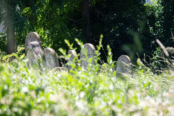17歳 2023サラ スロバキアだ サラの古いユダヤ人墓地 — ストック写真