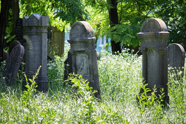 2023 Sala 斯洛伐克 萨拉的老犹太人公墓 — 图库照片