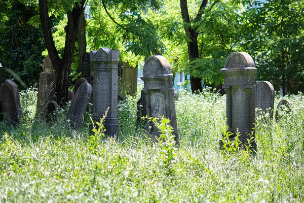 2023 Sala Σλοβακία Παλιό Εβραϊκό Νεκροταφείο Στη Σάλα — Φωτογραφία Αρχείου
