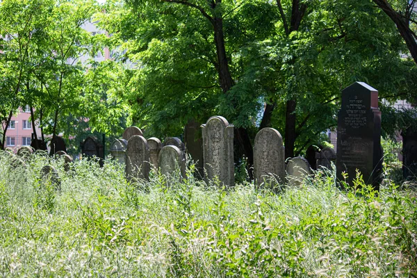 Anos 2023 Sala Eslováquia Antigo Cemitério Judeu Sala — Fotografia de Stock