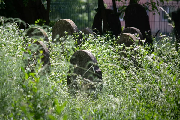2023 Сала Словаччина Давнє Єврейське Кладовище Салі — стокове фото