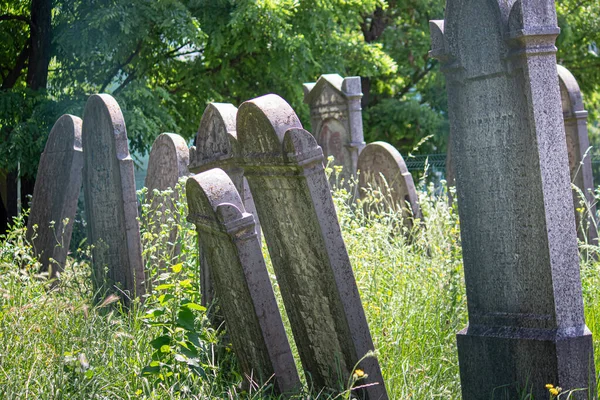 Yedi 2023 Sala Slovakya Sala Daki Eski Yahudi Mezarlığı — Stok fotoğraf