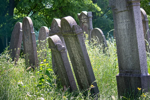 Yedi 2023 Sala Slovakya Sala Daki Eski Yahudi Mezarlığı — Stok fotoğraf