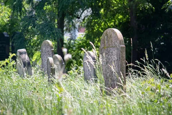 2023 Sala Slovacchia Vecchio Cimitero Ebraico Sala — Foto Stock