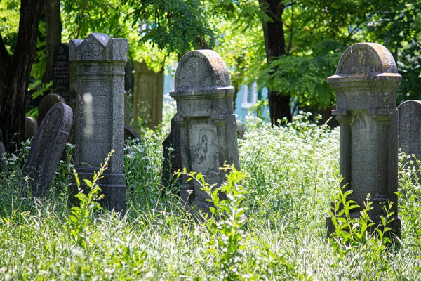 2023 Sala Slovacchia Vecchio Cimitero Ebraico Sala — Foto Stock