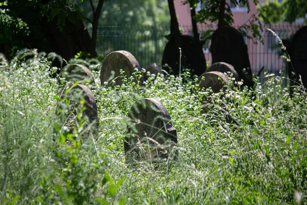 2023 Sala Slovakia Old Jewish Cemetery Sala — Stock Photo, Image