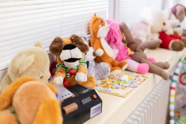 Çocukların oyuncakları çocuk odasında duruyor.