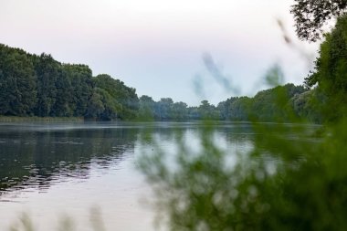 Yazın etrafı ağaçlarla çevrili.