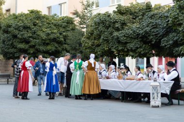 Slovakya 'nın Sala kentindeki bir folklor topluluğunun performansı.