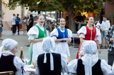 Slovakya 'nın Sala kentindeki bir folklor topluluğunun performansı.