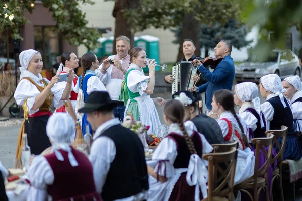 Auftritt Eines Folklore Ensembles Der Stadt Sala Slowakei — Stockfoto