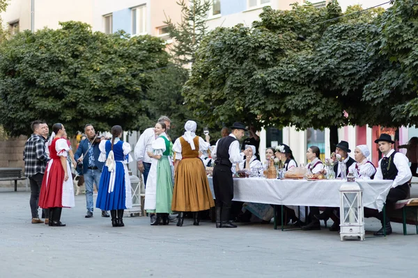 Выступление Фольклорного Ансамбля Городе Сала Словакия — стоковое фото