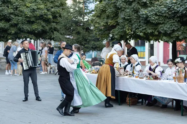 在斯洛伐克Sala市举行的一个民俗合唱会 — 图库照片