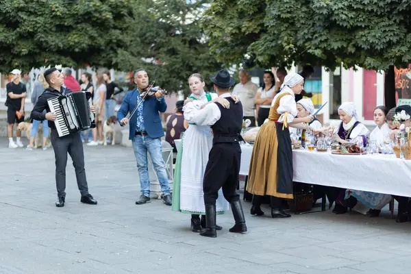 Auftritt Eines Folklore Ensembles Der Stadt Sala Slowakei — Stockfoto