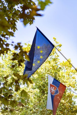 Kentte Avrupa Birliği ve Slovakya bayrağı