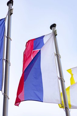 Şehirde Slovakya bayrağı