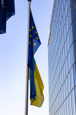 Kentte Avrupa Birliği ve Ukrayna bayrağı