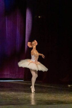 Genç balerin bir konserde sahneye çıkıyor.