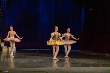 Genç balerinler bir konserde sahneye çıkıyorlar.