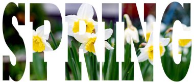 Bahar çiçeklerinin yakın plan arkaplanındaki metin