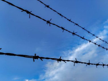 Mavi gökyüzüne karşı dikenli tel. Ukrayna 'da kapalı sınırlar