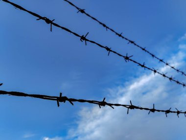 Mavi gökyüzüne karşı dikenli tel. Ukrayna 'da kapalı sınırlar