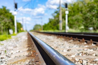 Ağaçların arasında demiryolu