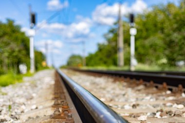 Ağaçların arasında demiryolu