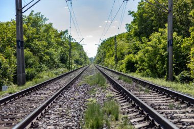 Ağaçların arasında demiryolu