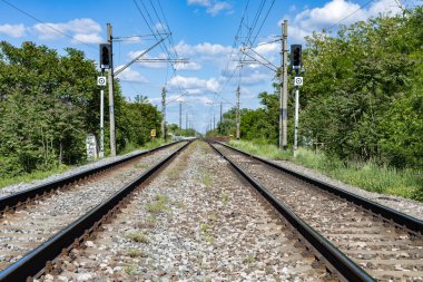 Ağaçların arasında demiryolu