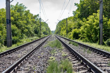 Ağaçların arasında demiryolu