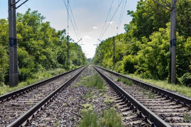 Ağaçların arasında demiryolu