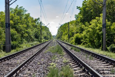 Ağaçların arasında demiryolu