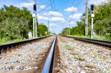 Ağaçların arasında demiryolu