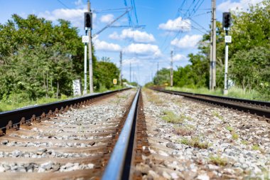 Ağaçların arasında demiryolu