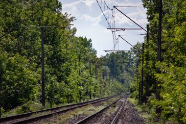 Ağaçların arasında demiryolu