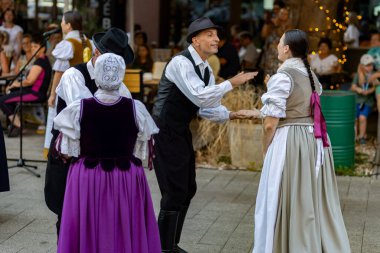 Slovakya 'da yazın halk düğünü