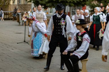 Slovakya 'da yazın halk düğünü