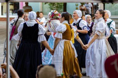 Slovakya 'da yazın halk düğünü