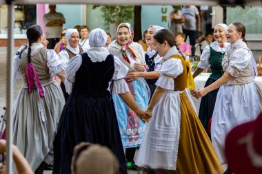 Slovakya 'da yazın halk düğünü